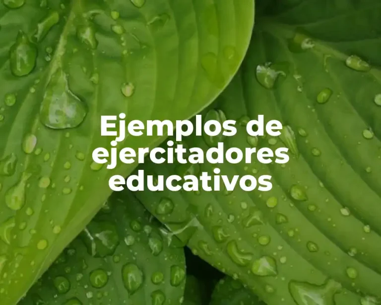 Ejemplos de ejercitadores educativos