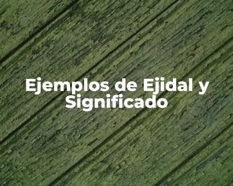 Ejemplos de Ejidal y Significado
