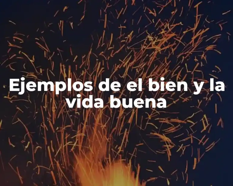 Ejemplos de el bien y la vida buena