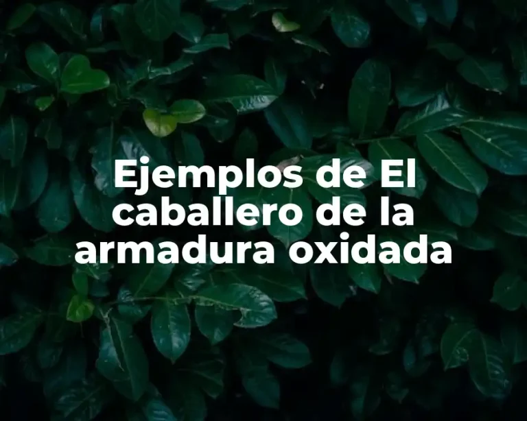 Ejemplos de El caballero de la armadura oxidada