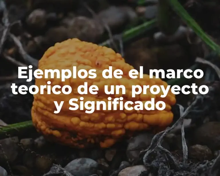 Ejemplos de el marco teorico de un proyecto y Significado