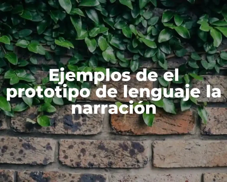 Ejemplos de el prototipo de lenguaje la narración