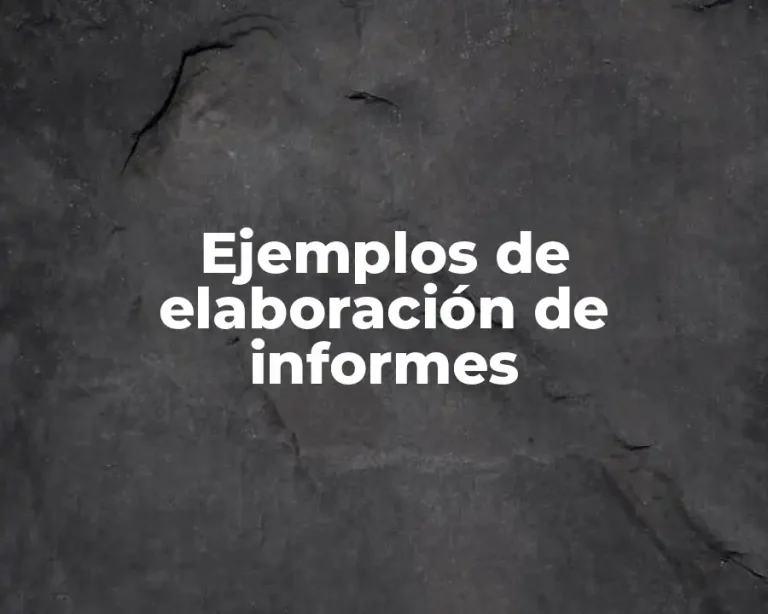 Ejemplos de elaboración de informes