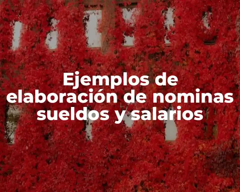 Ejemplos de elaboración de nominas sueldos y salarios