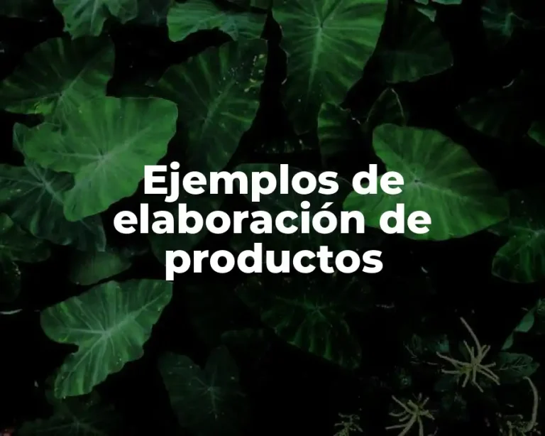 Ejemplos de elaboración de productos