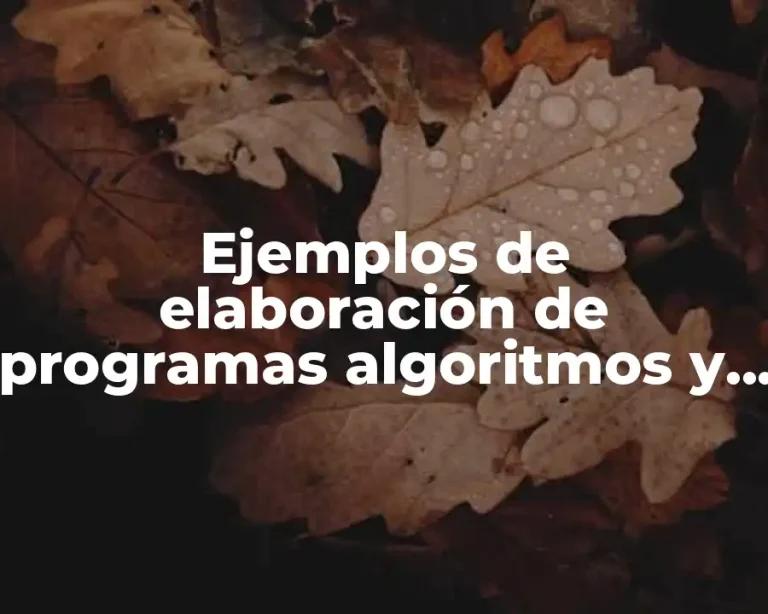 Ejemplos de elaboración de programas algoritmos y lenguajes de