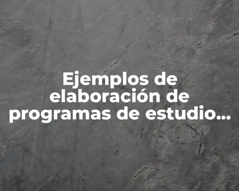 Ejemplos de elaboración de programas de estudio por competencias