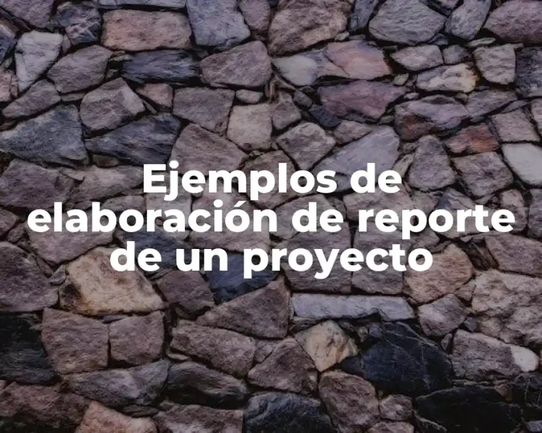 Ejemplos de elaboración de reporte de un proyecto