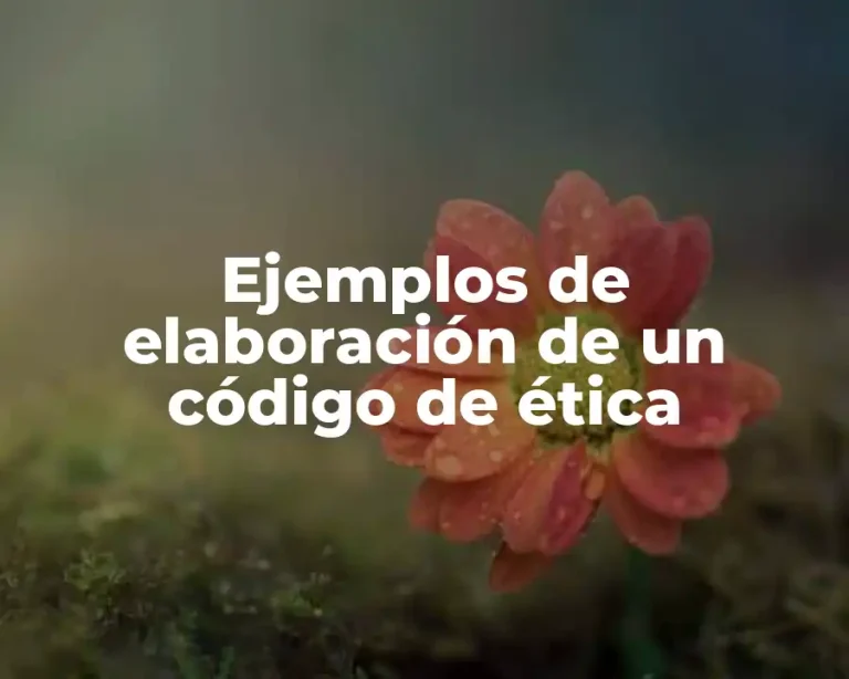 Ejemplos de elaboración de un código de ética