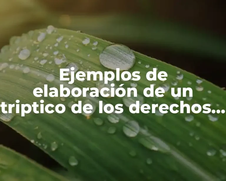 Ejemplos de elaboración de un triptico de los derechos humanos