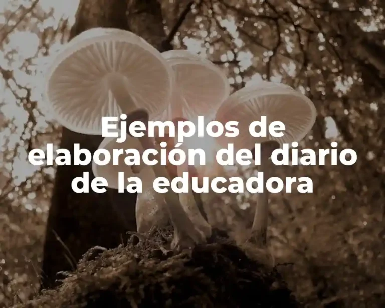 Ejemplos de elaboración del diario de la educadora