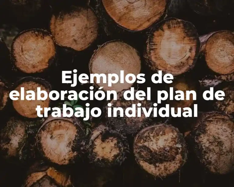 Ejemplos de elaboración del plan de trabajo individual