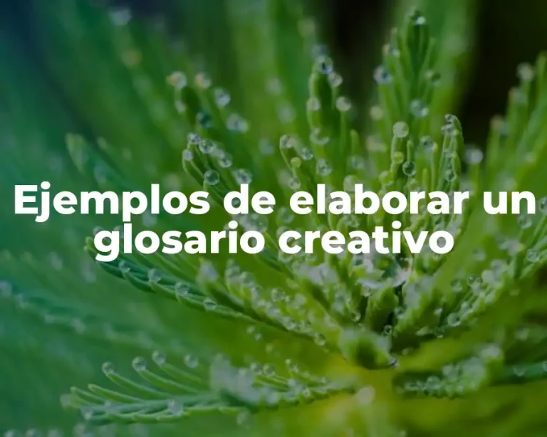 Ejemplos de elaborar un glosario creativo