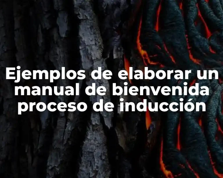 Ejemplos de elaborar un manual de bienvenida proceso de inducción