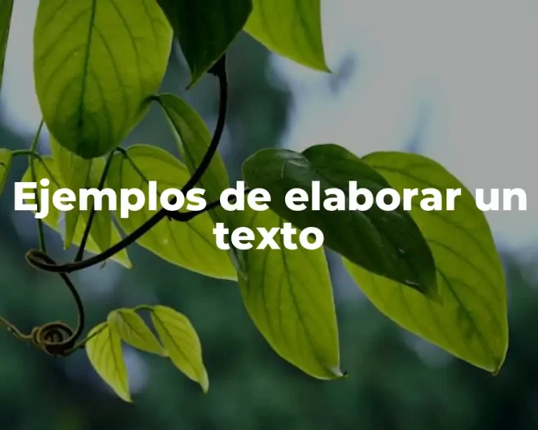 Ejemplos de elaborar un texto