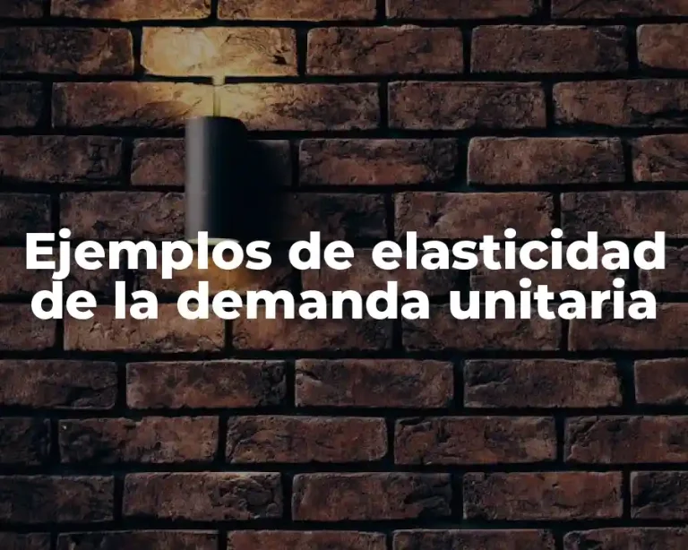 Ejemplos de elasticidad de la demanda unitaria