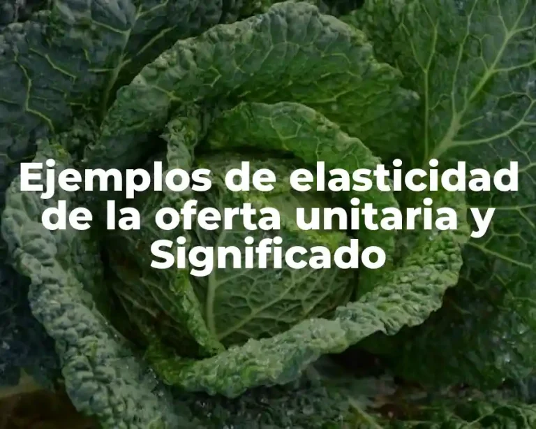 Ejemplos de elasticidad de la oferta unitaria y Significado