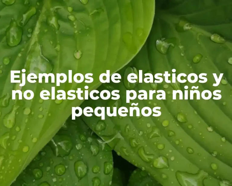 Ejemplos de elasticos y no elasticos para niños pequeños