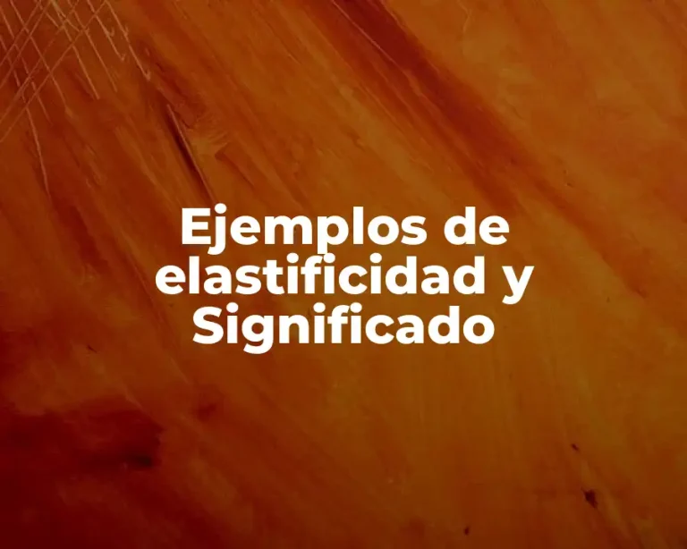 Ejemplos de elastificidad y Significado