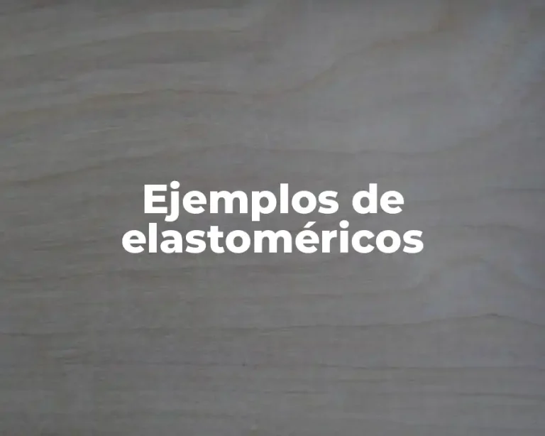 Ejemplos de elastoméricos