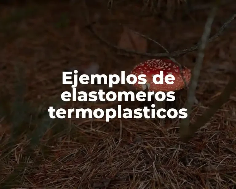 Ejemplos de elastomeros termoplasticos