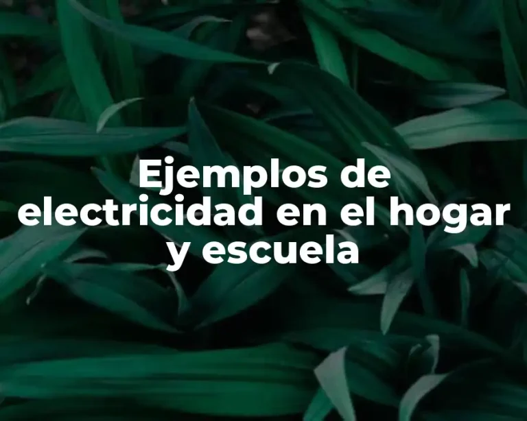 Ejemplos de electricidad en el hogar y escuela