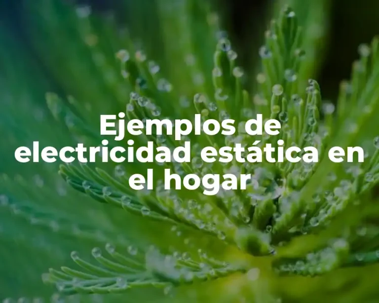 Ejemplos de electricidad estática en el hogar
