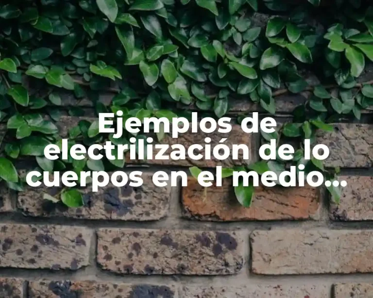 Ejemplos de electrilización de lo cuerpos en el medio ambiente
