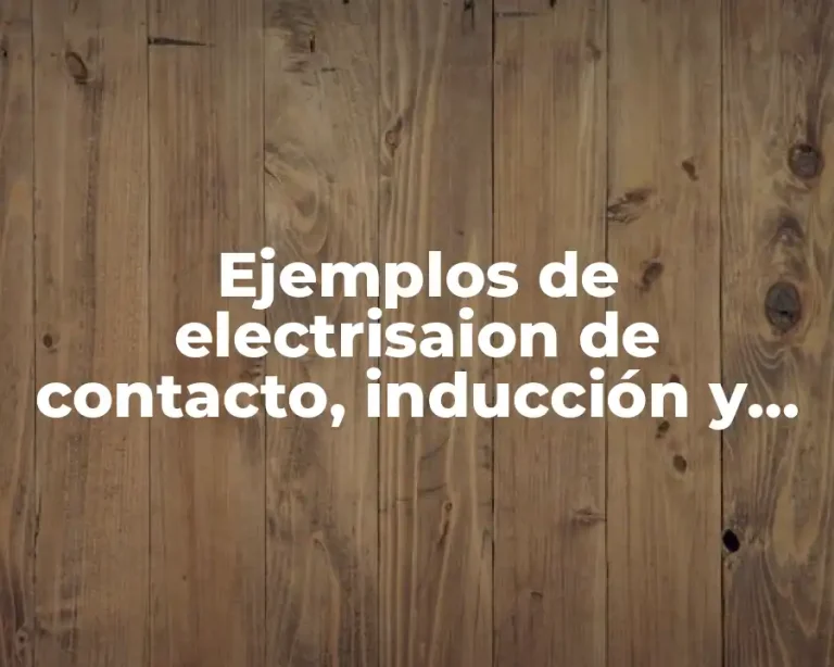 Ejemplos de electrisaion de contacto, inducción y frotamiento