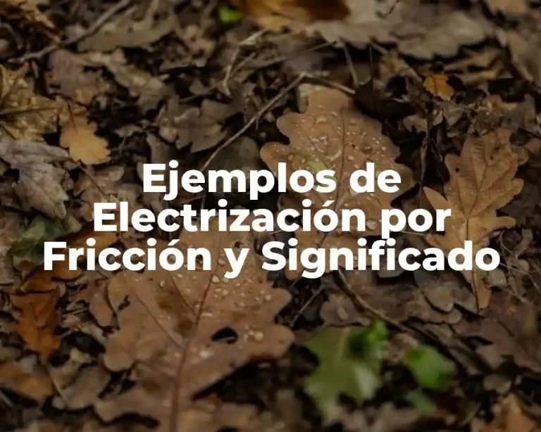 Ejemplos de Electrización por Fricción y Significado