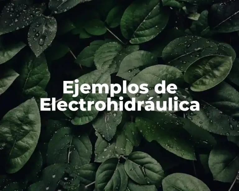 Ejemplos de Electrohidráulica