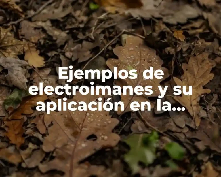 Ejemplos de electroimanes y su aplicación en la industria y Significado