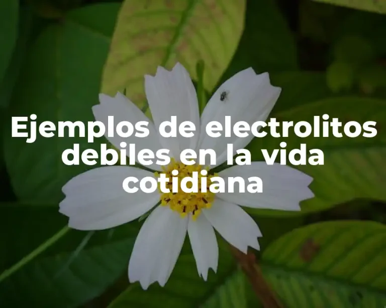 Ejemplos de electrolitos debiles en la vida cotidiana