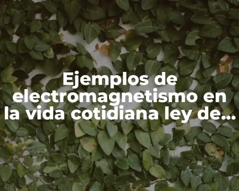 Ejemplos de electromagnetismo en la vida cotidiana ley de Ampere