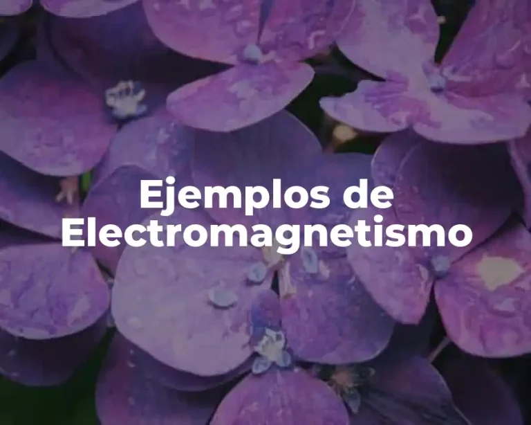 Ejemplos de Electromagnetismo