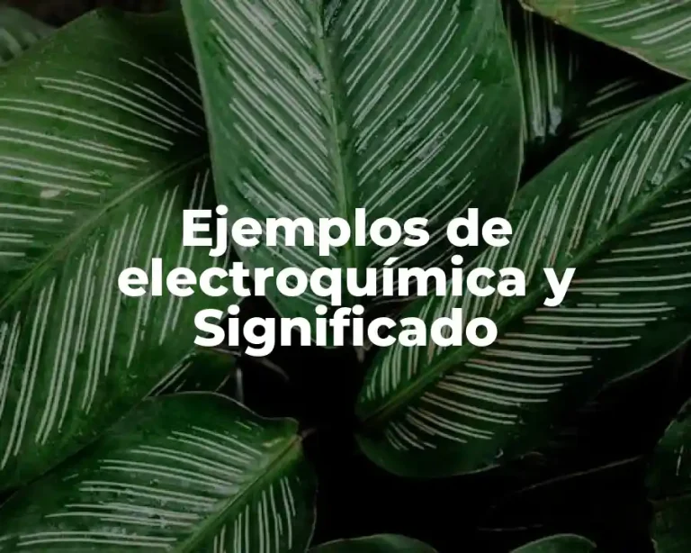 Ejemplos de electroquímica y Significado