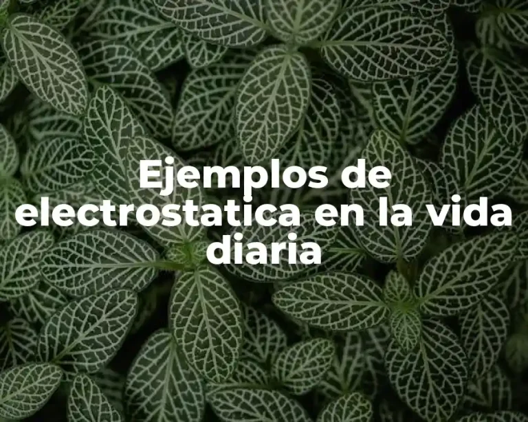 Ejemplos de electrostatica en la vida diaria