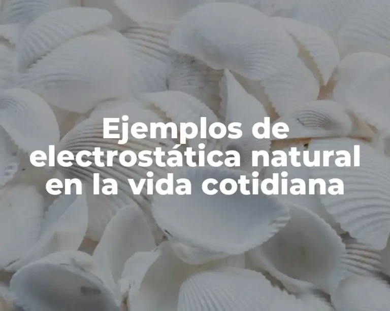 Ejemplos de electrostática natural en la vida cotidiana