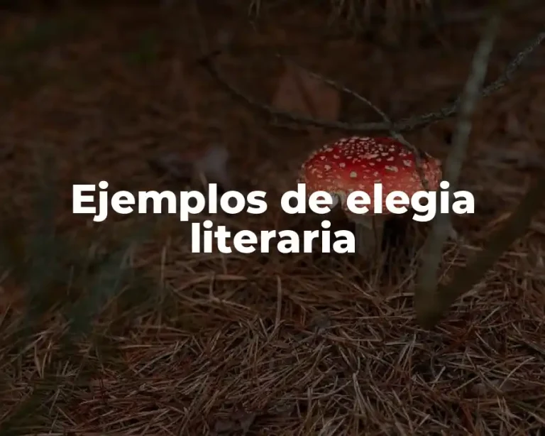 Ejemplos de elegia literaria