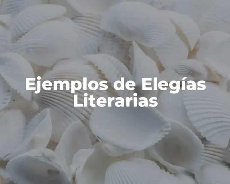 Ejemplos de Elegías Literarias
