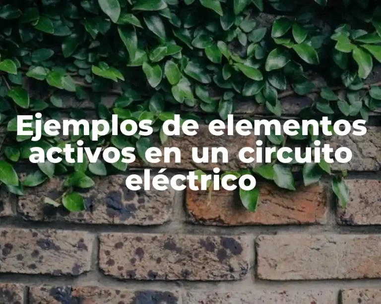 Ejemplos de elementos activos en un circuito eléctrico