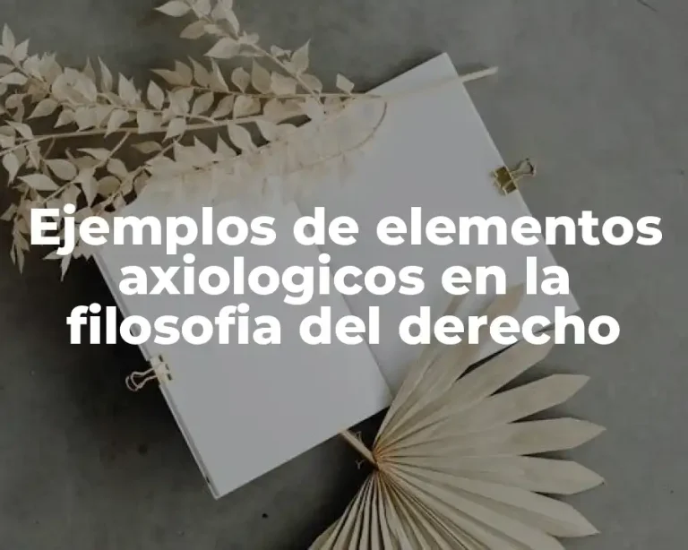 Ejemplos de elementos axiologicos en la filosofia del derecho