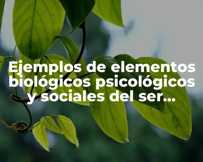 Ejemplos de elementos biológicos psicológicos y sociales del ser humano