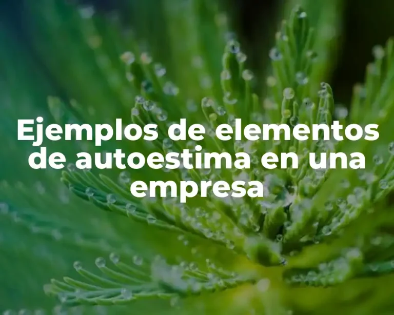 Ejemplos de elementos de autoestima en una empresa
