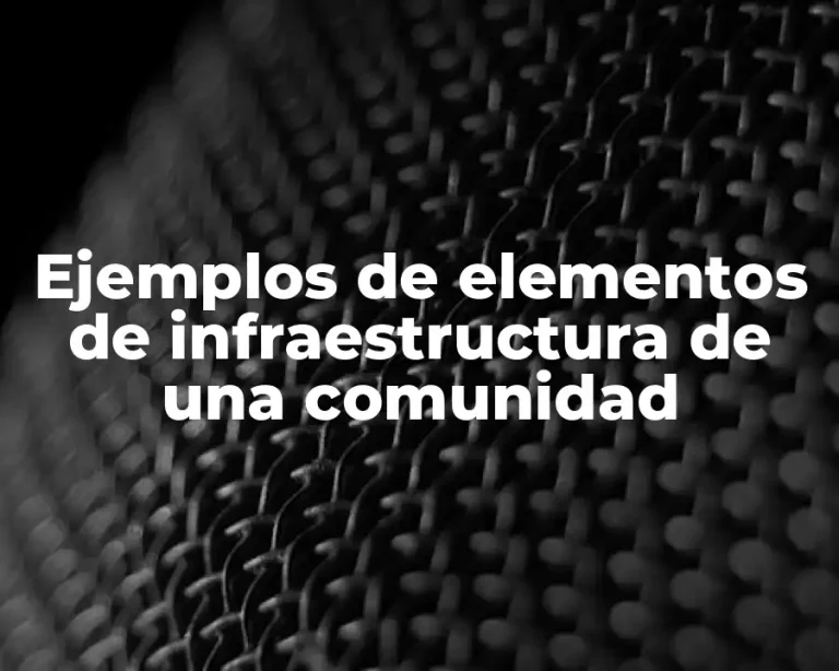 Ejemplos de elementos de infraestructura de una comunidad