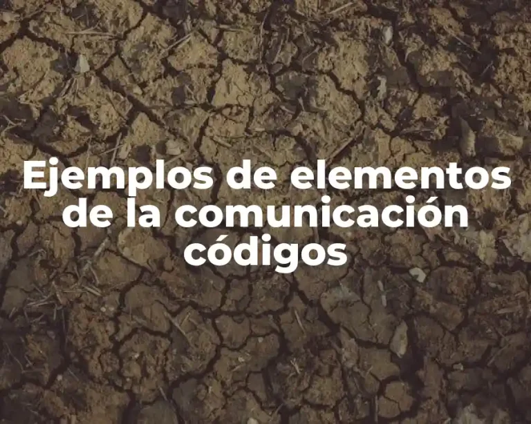 Ejemplos de elementos de la comunicación códigos