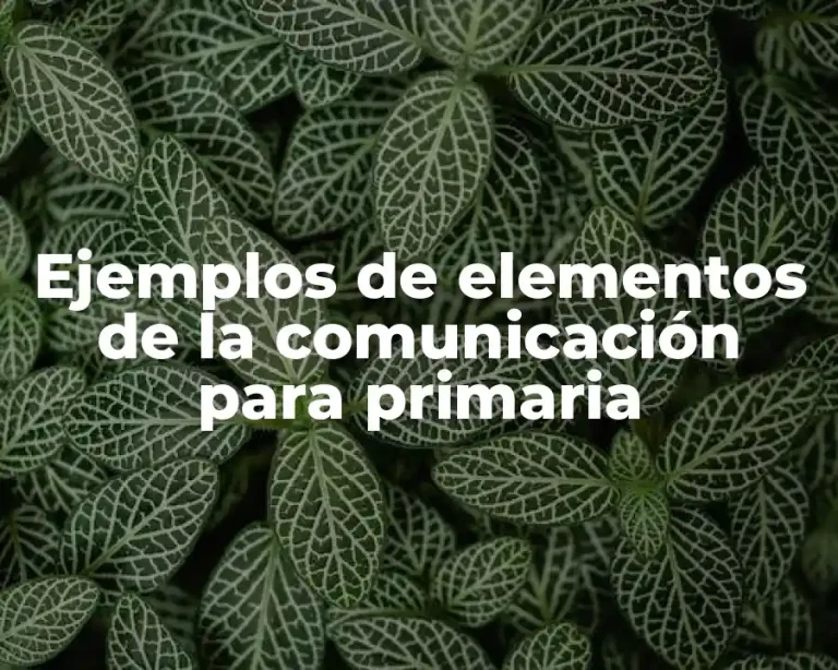 Ejemplos de elementos de la comunicación para primaria
