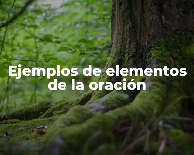 Ejemplos de elementos de la oración