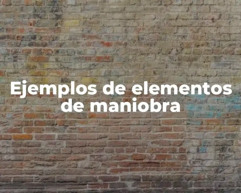 Ejemplos de elementos de maniobra