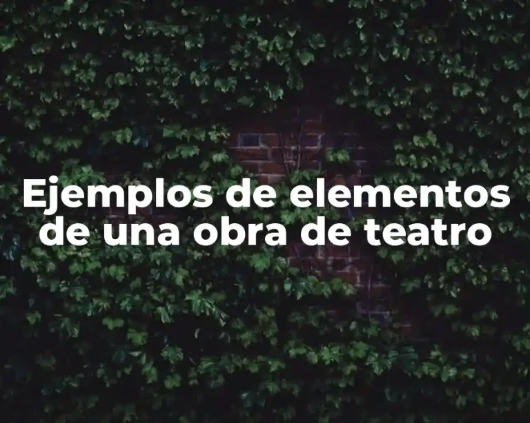 Ejemplos de elementos de una obra de teatro